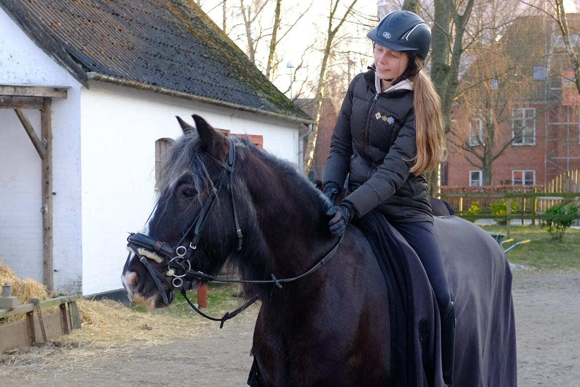 Tinker Major Mentz - charmebjørn billede 5