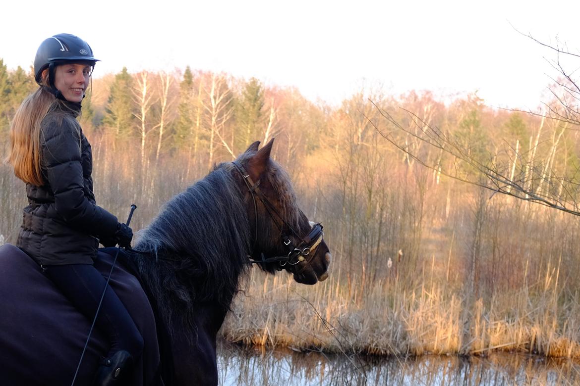 Tinker Major Mentz billede 13