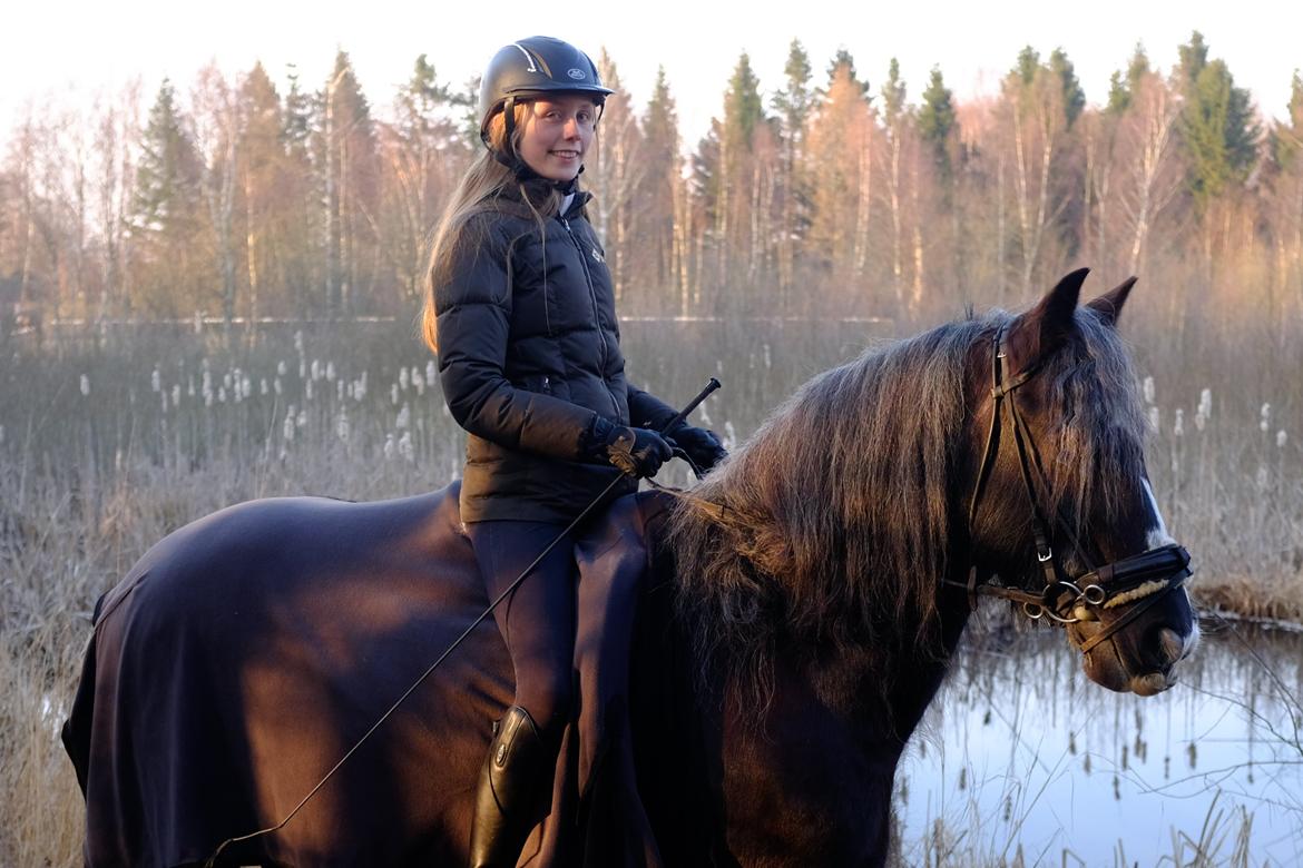 Tinker Major Mentz billede 3