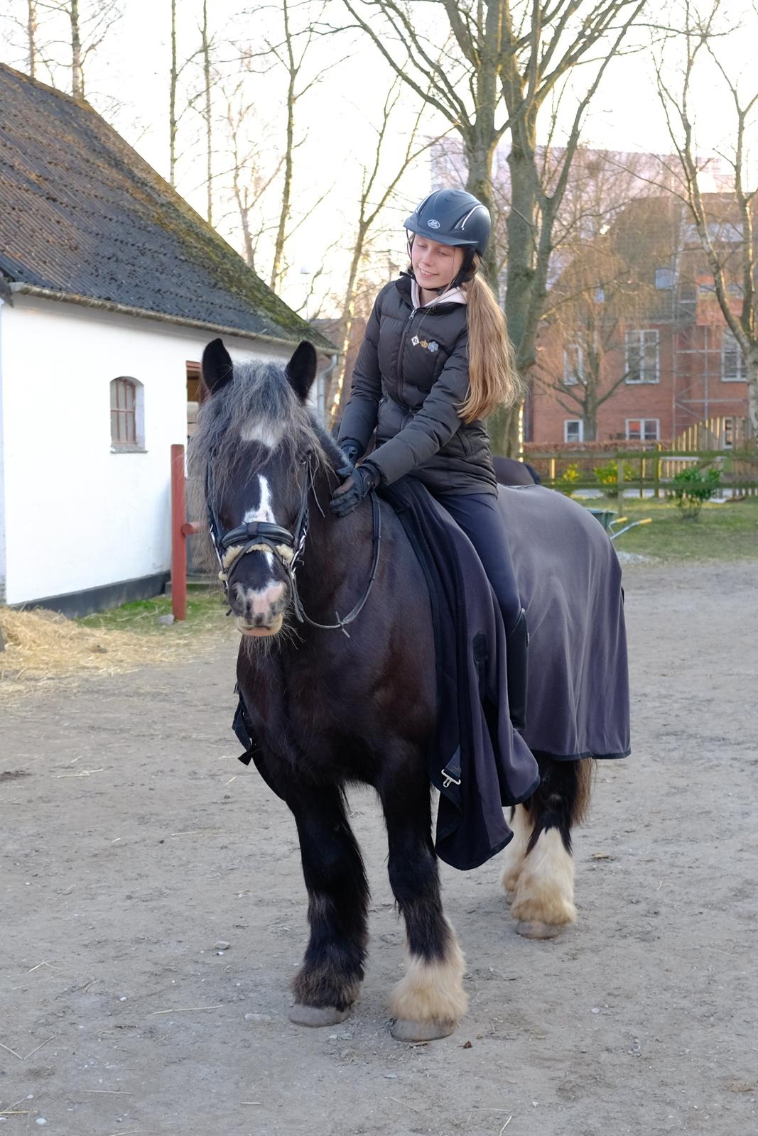 Tinker Major Mentz billede 7