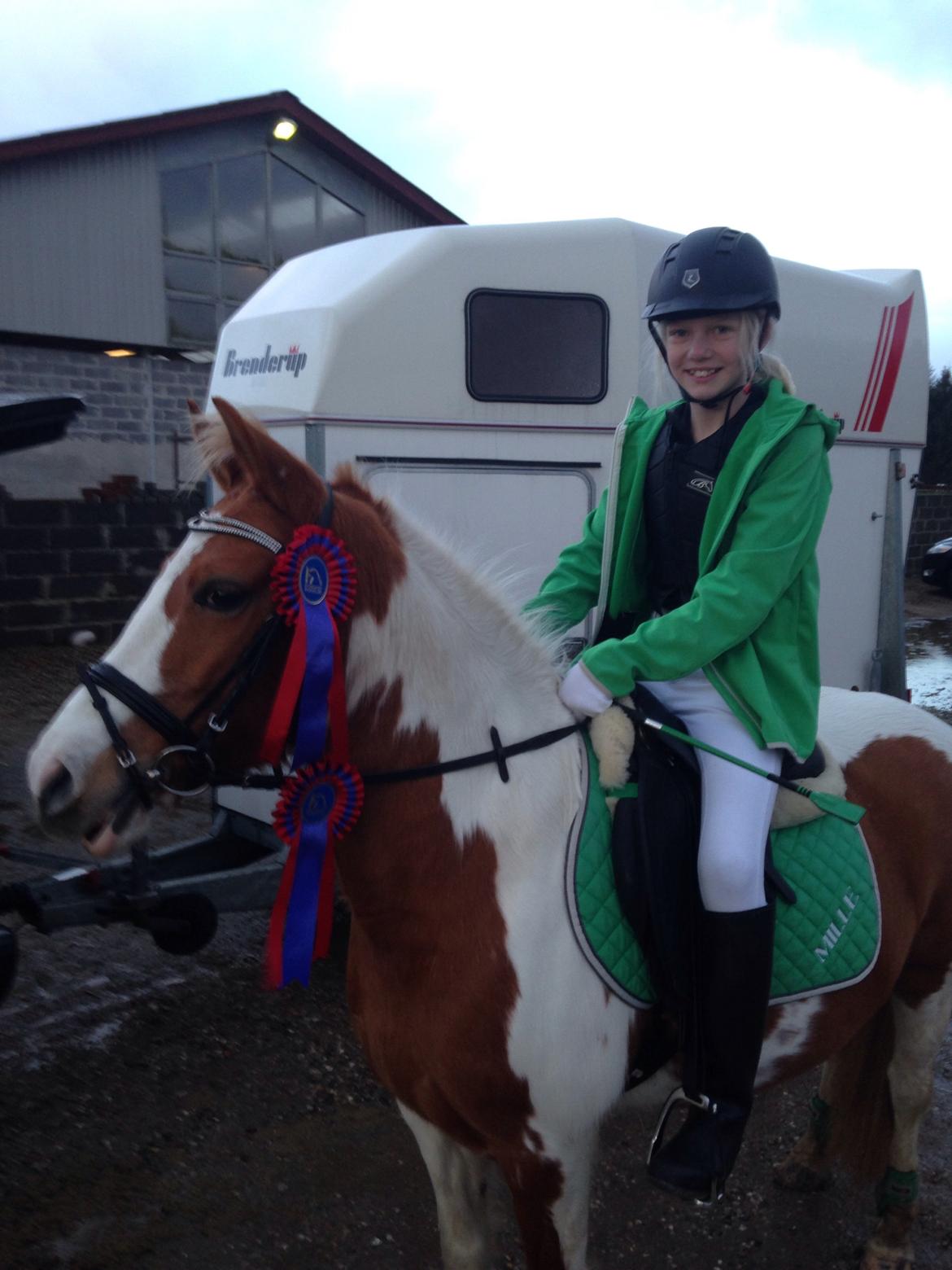 Anden særlig race Mille billede 32