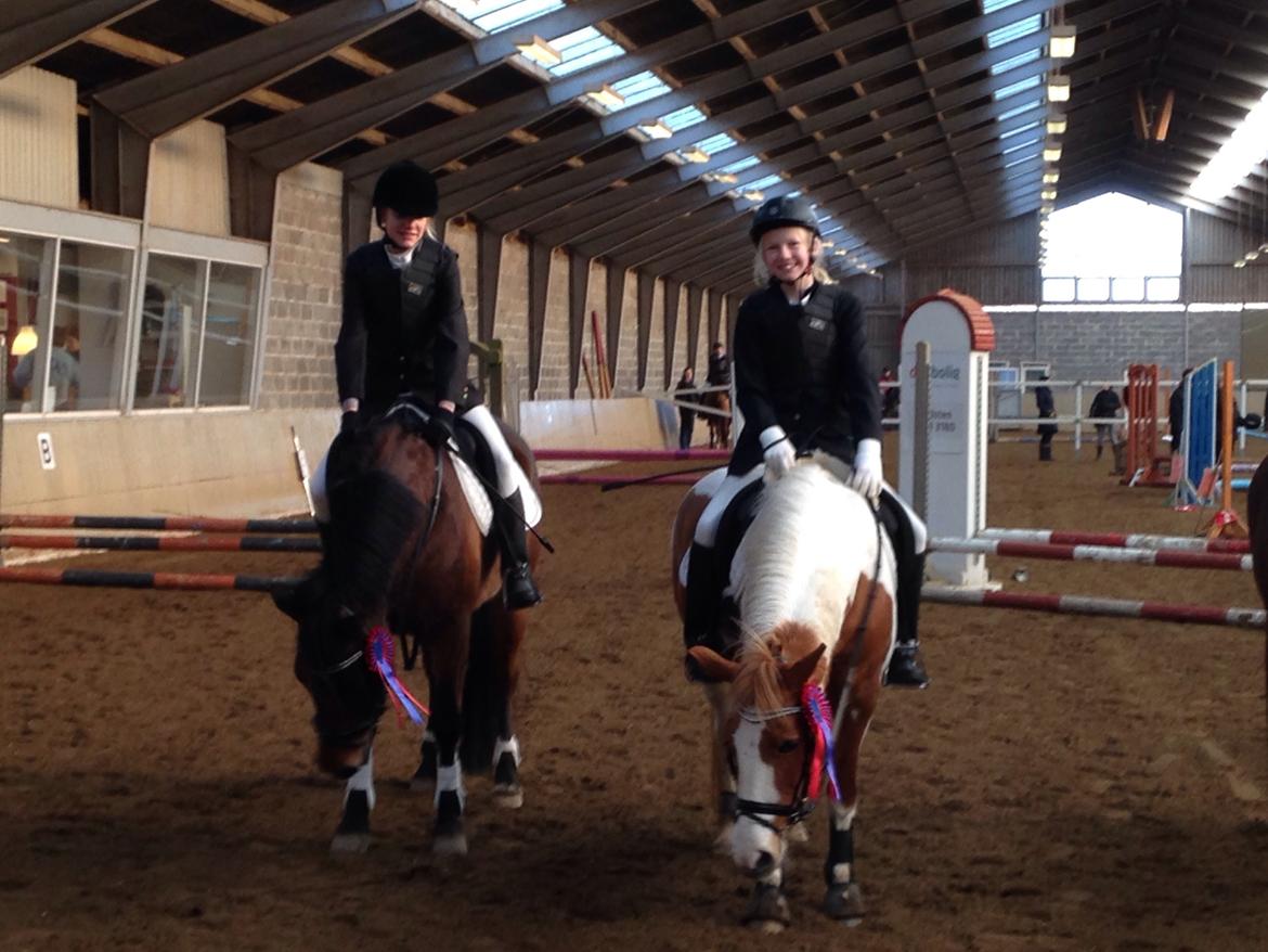 Anden særlig race Mille billede 39