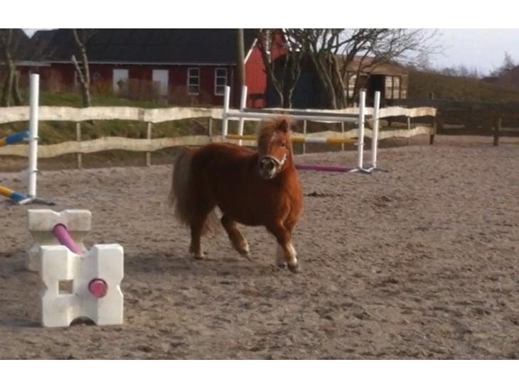 {{currentPhoto.altText}} billede {{currentPhoto.number}}