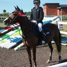 Anden særlig race Plet