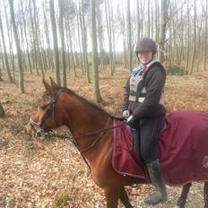 Anden særlig race *L*A*I*K*A*