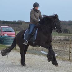 Anden særlig race Agathe