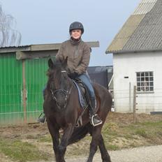 Anden særlig race Agathe