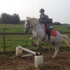 Anden særlig race Jumbi <3