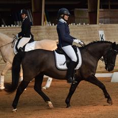 Anden særlig race Pony Gammelby <3