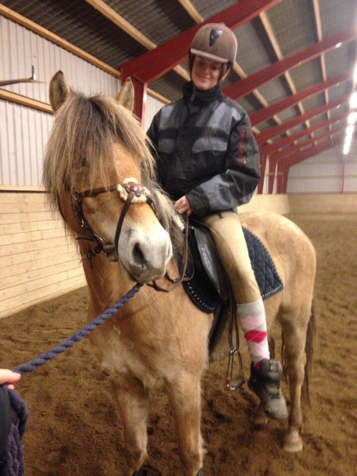 Anden særlig race Dunkans Galina<3 solgt billede 10