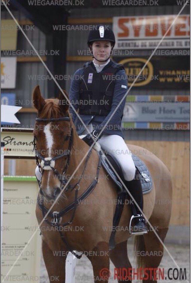 Tysk Oldenburger Bladsgaards Windy Sky - Stævne i Esbjerg d. 17/2-15 2 og 5 plads. billede 26