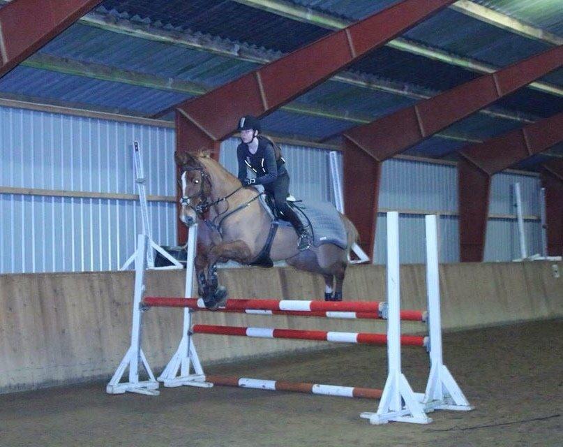 Tysk Oldenburger Bladsgaards Windy Sky - Undervisning ved Jette Bach d. 11/2-15 billede 27