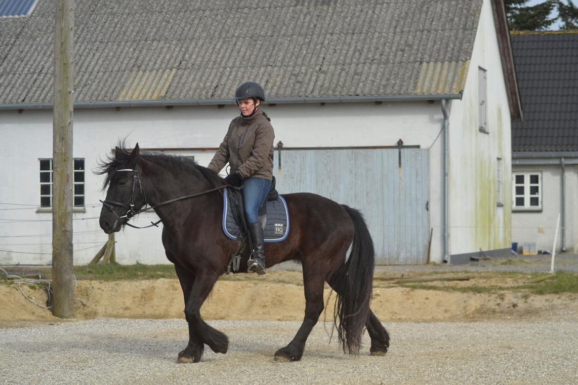 Anden særlig race Agathe billede 23