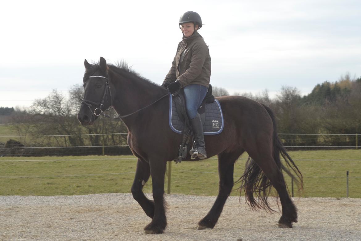 Anden særlig race Agathe billede 22