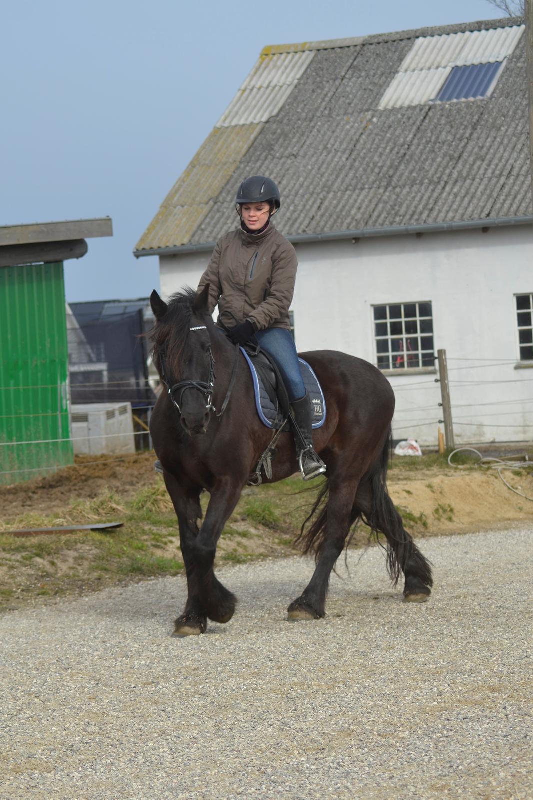 Anden særlig race Agathe billede 4