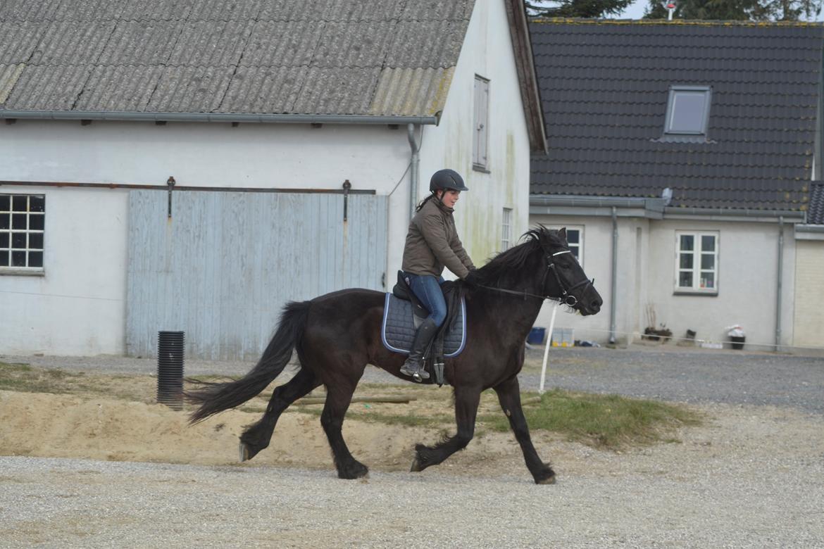 Anden særlig race Agathe billede 24