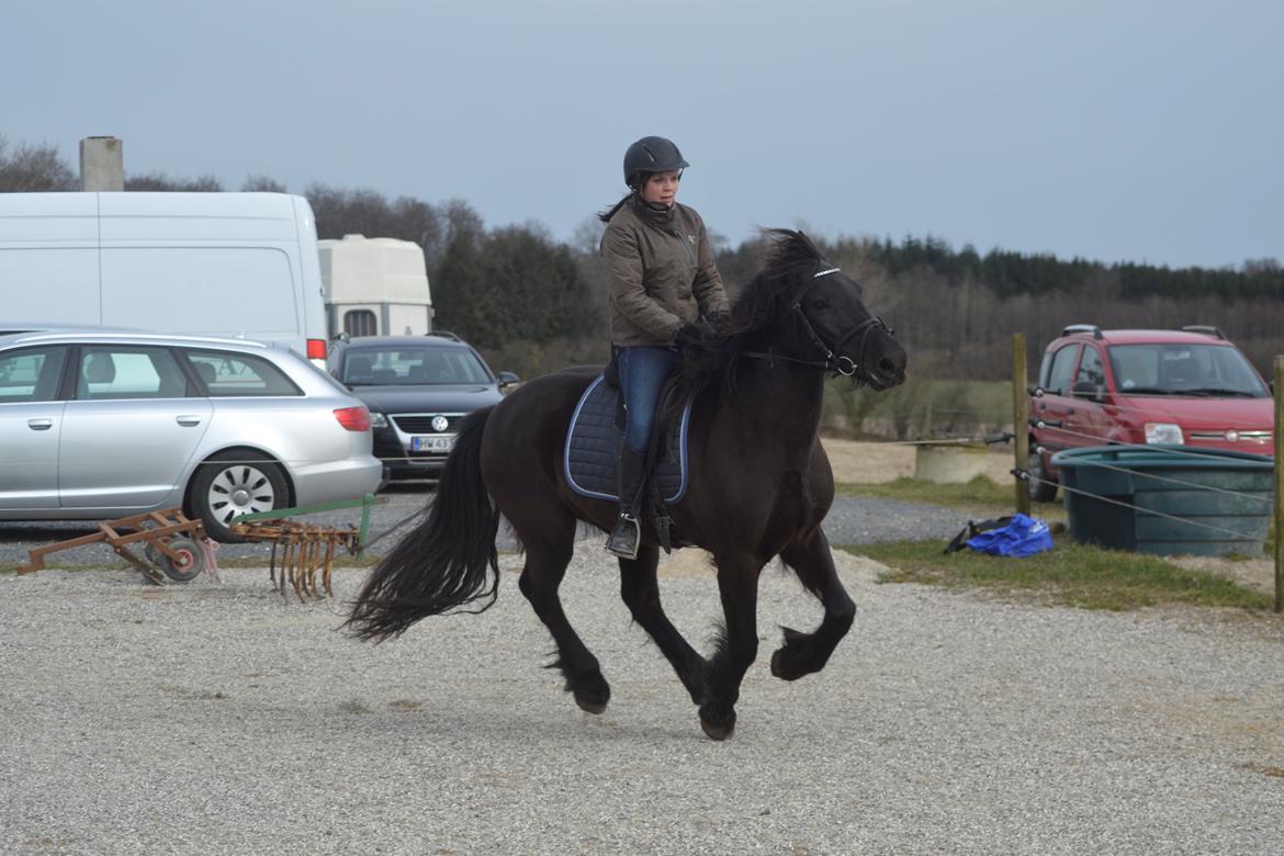 Anden særlig race Agathe billede 5