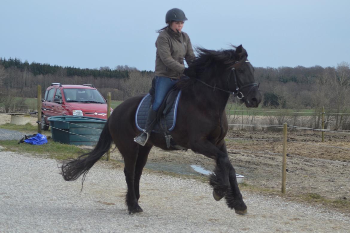 Anden særlig race Agathe billede 1