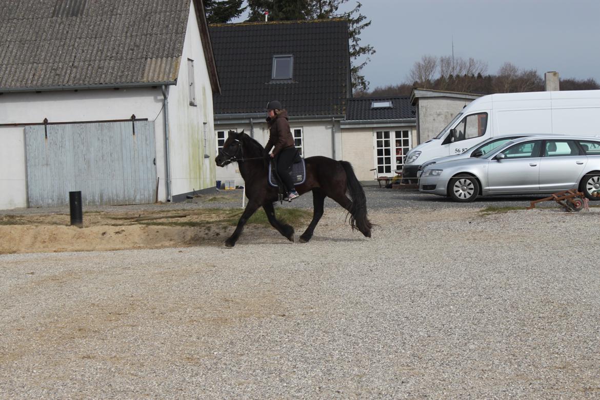 Anden særlig race Agathe billede 25
