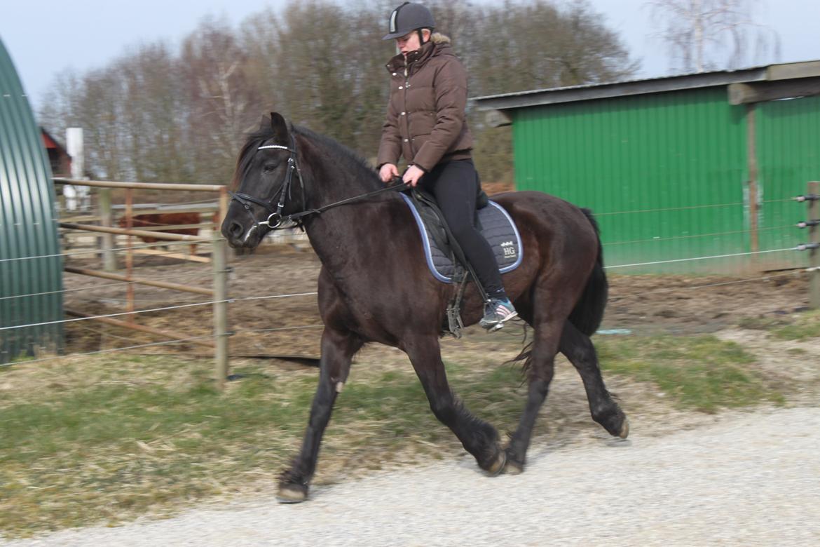 Anden særlig race Agathe billede 26