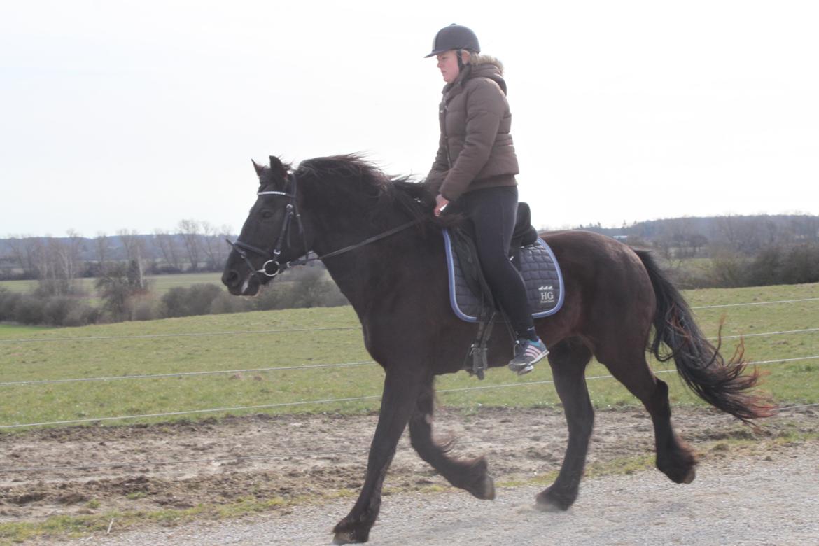 Anden særlig race Agathe billede 27