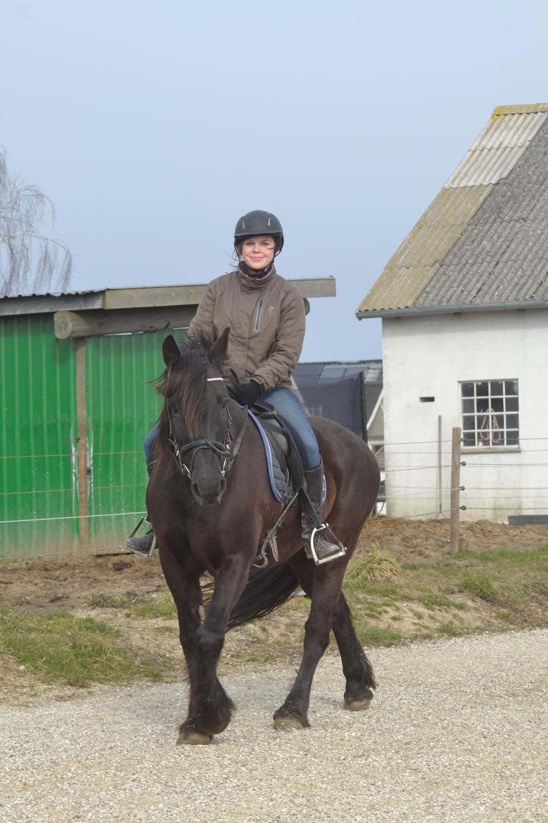 Anden særlig race Agathe billede 2