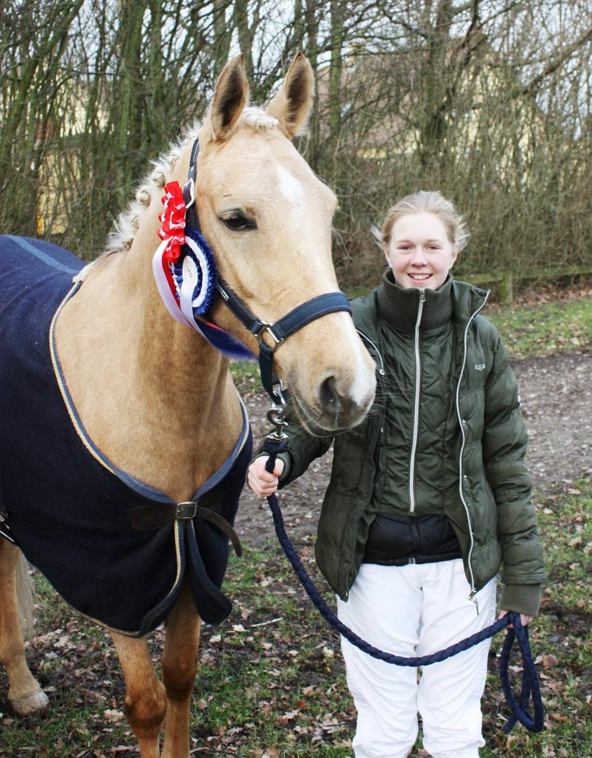 Palomino Lille skovgaards izzah diyaah billede 26