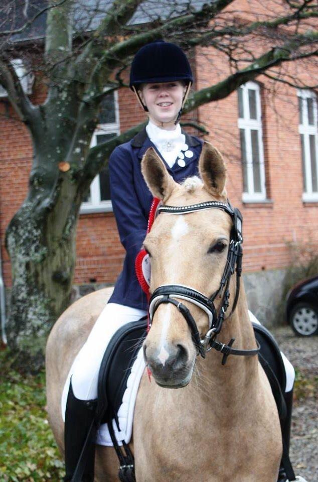 Palomino Lille skovgaards izzah diyaah billede 34