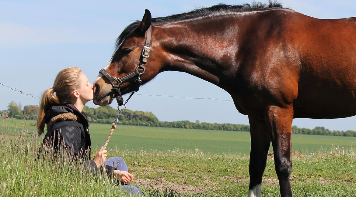 DSP Lundgaards Friday billede 3