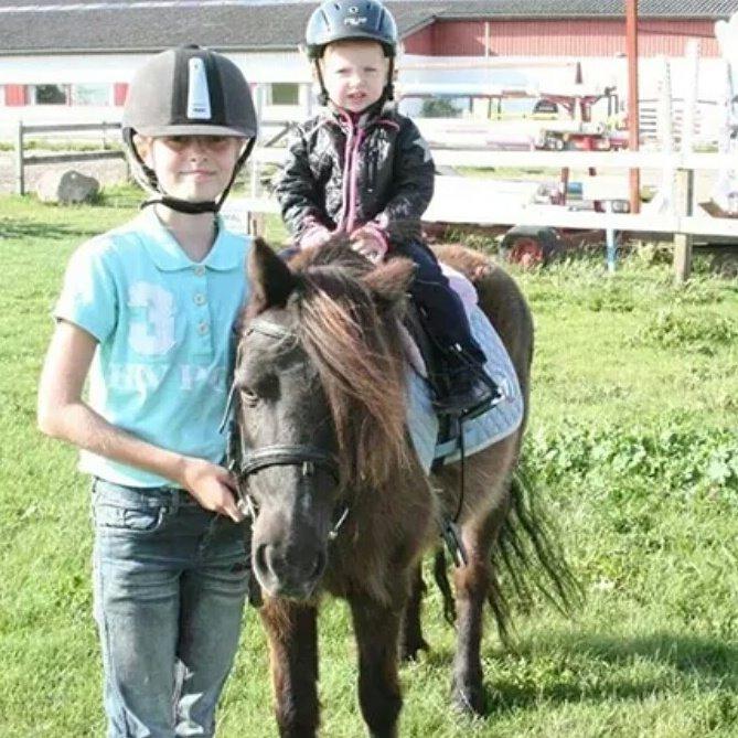 Anden særlig race Engtoft mille (RIP) billede 3