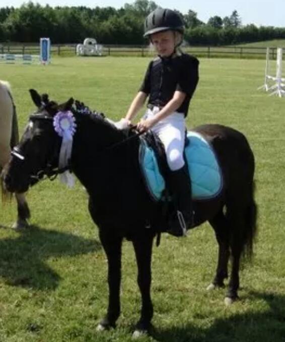 Anden særlig race Engtoft mille (RIP) billede 5