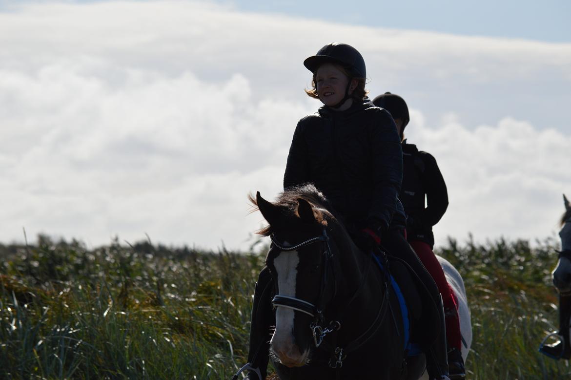 Anden særlig race Lady Guenevere billede 12