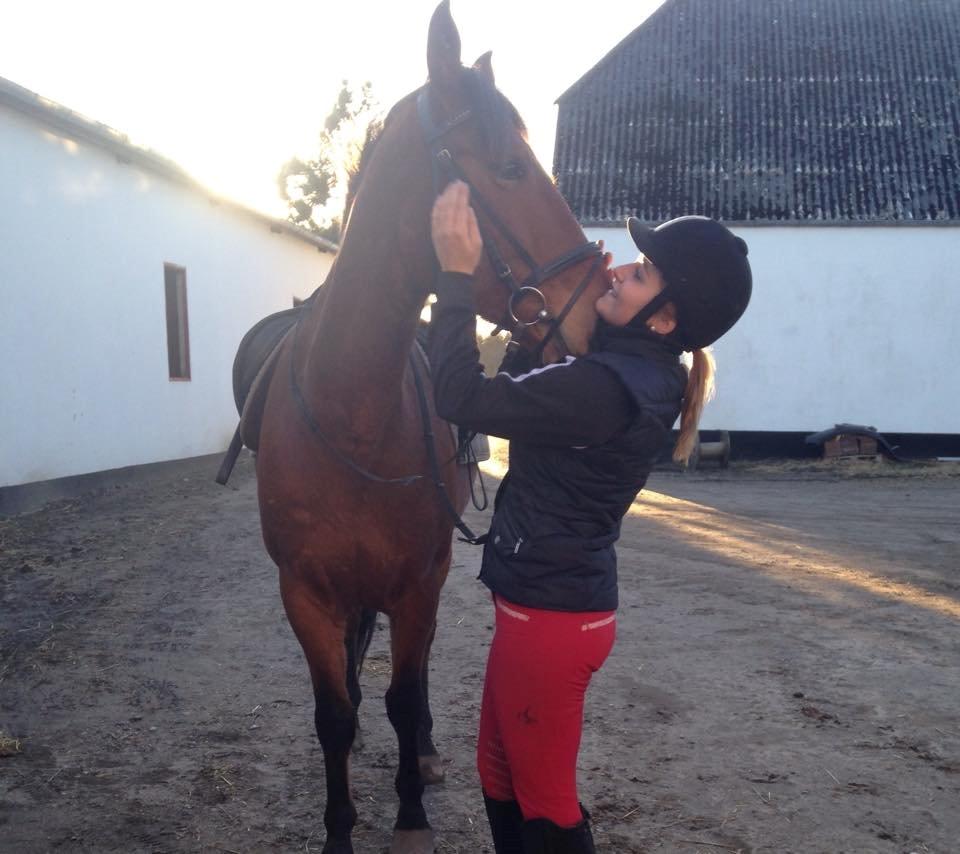 Anden særlig race Mason billede 16