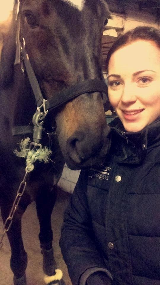 Hollandsk Varmblod Coberlina T billede 9