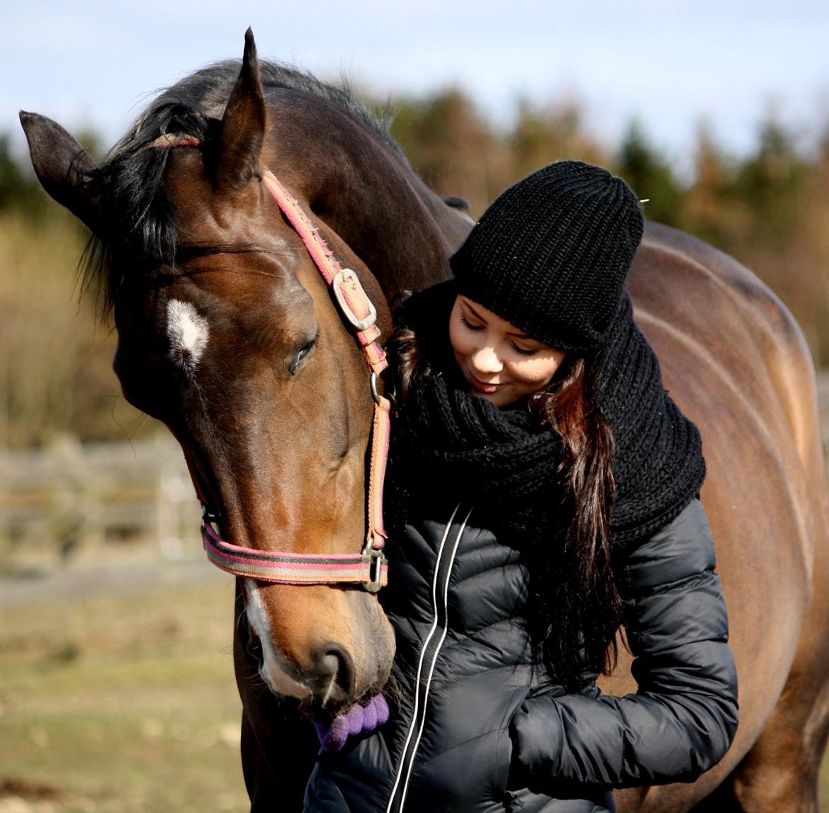 Dansk Varmblod Lindholms Caisa billede 3