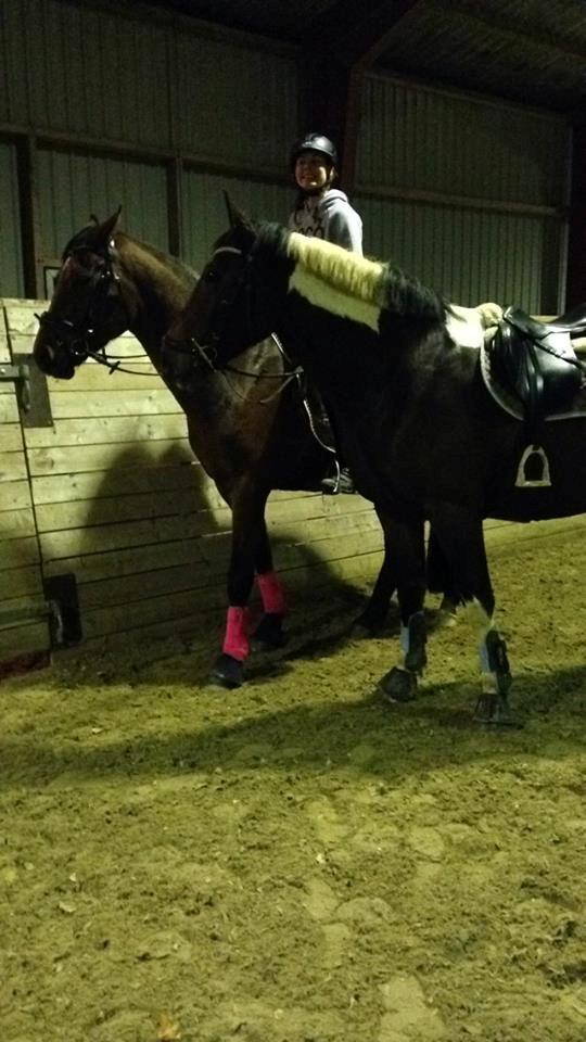 Dansk Varmblod Lacor HH (Solgt) - Lacor og Thiamo :) billede 9