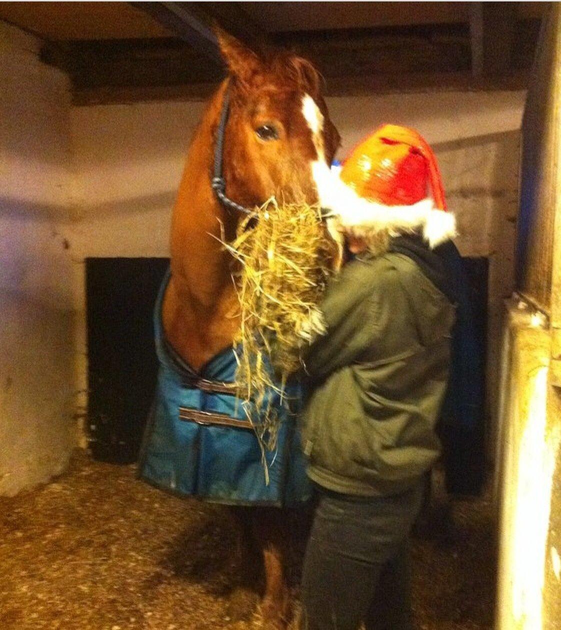 Knabstrupper Max bounty - Julen 2014. Baby og mig billede 15