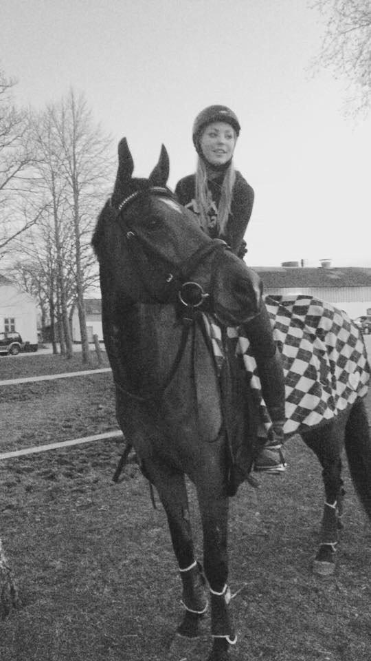 Anden særlig race Indy billede 2