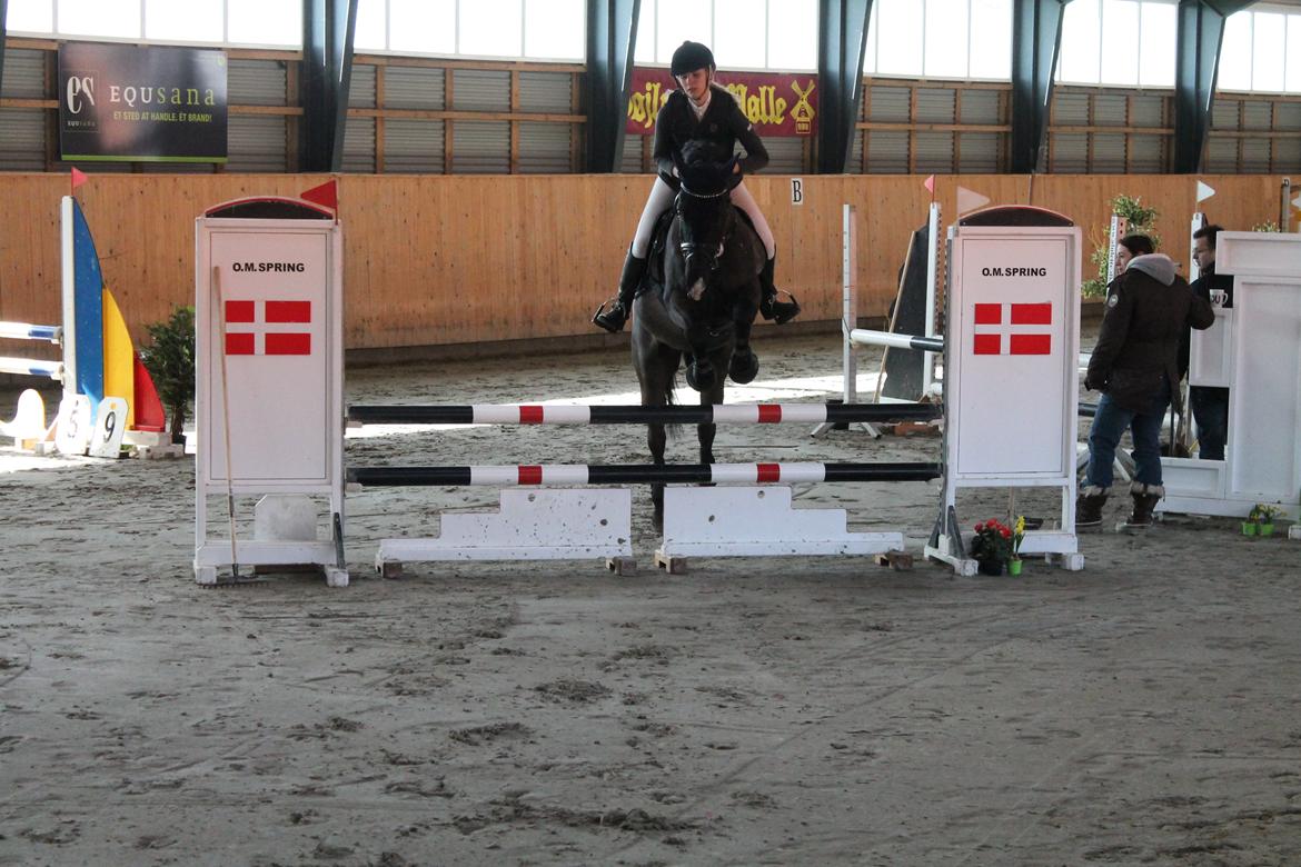 Anden særlig race Horse-Wear's Oktober billede 10