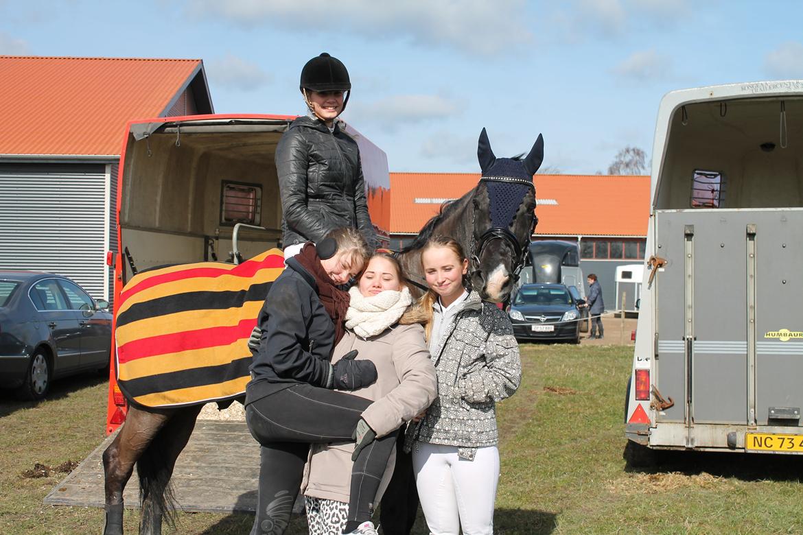 Anden særlig race Horse-Wear's Oktober billede 2