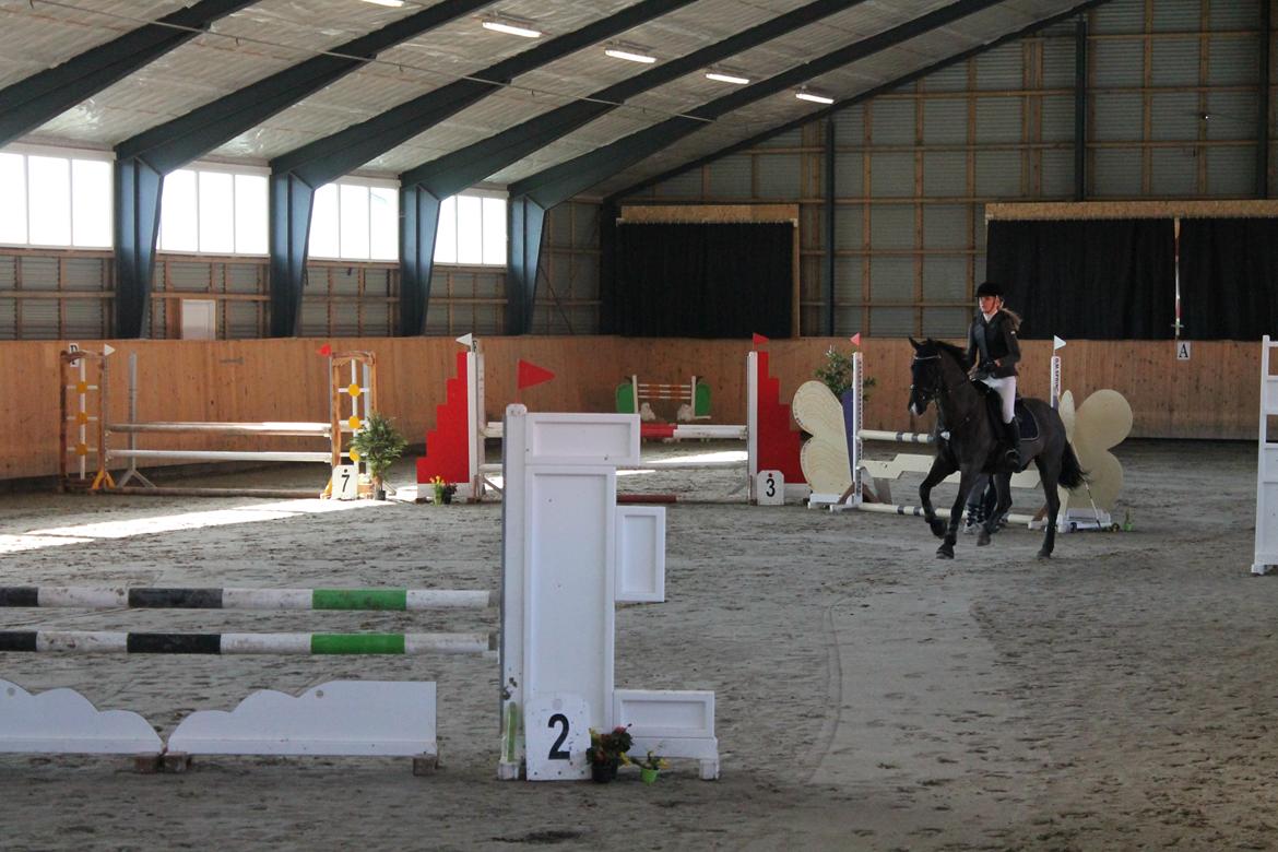 Anden særlig race Horse-Wear's Oktober billede 3