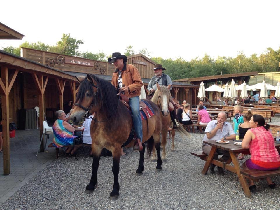 Nordsvensk Skovhest Nanny billede 8