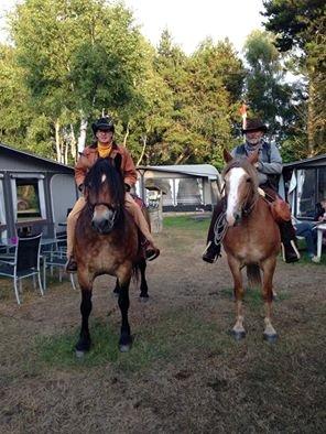 Nordsvensk Skovhest Nanny billede 9
