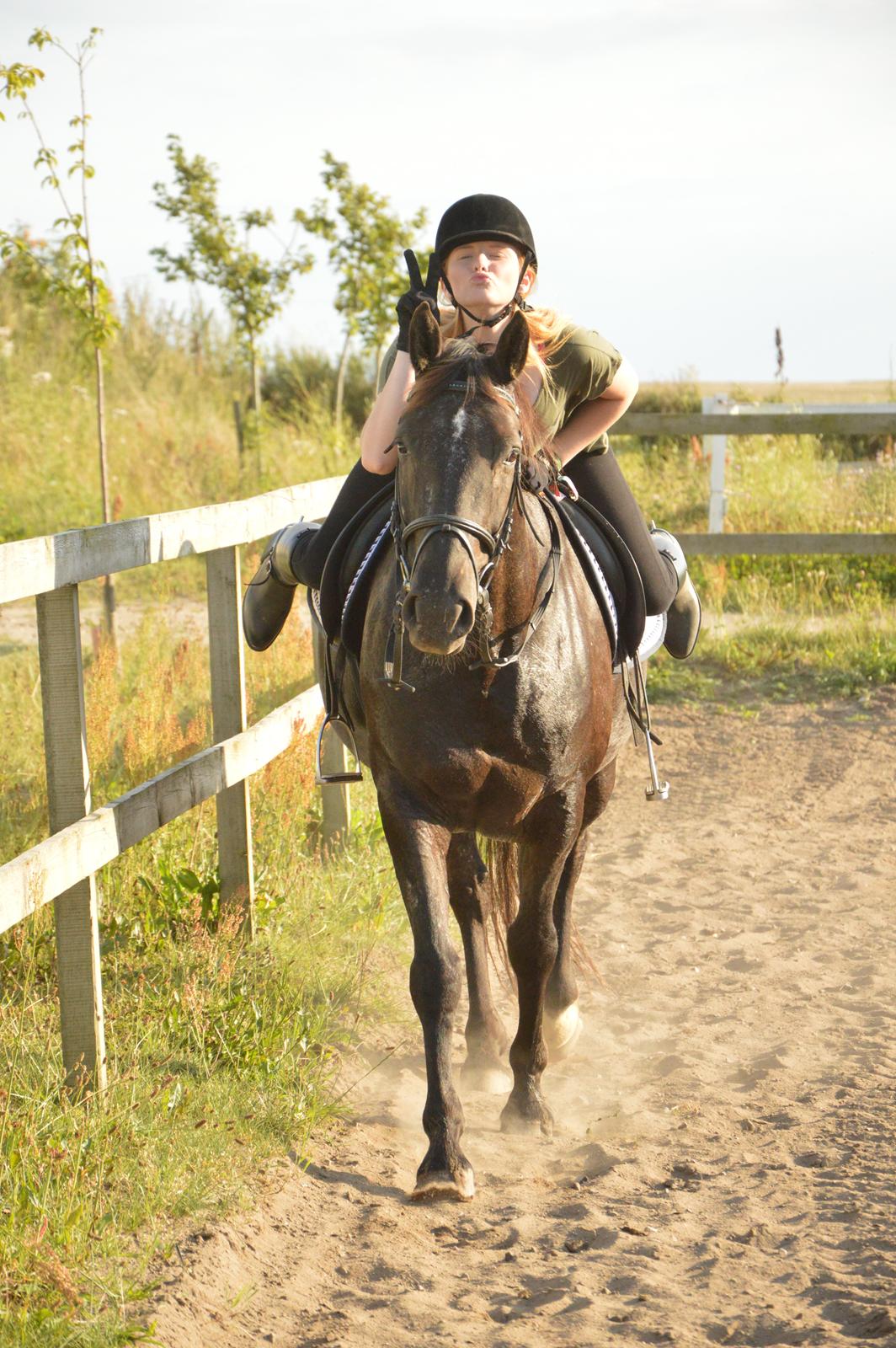 Knabstrupper Dyrehavens Thunder-Macpie billede 6