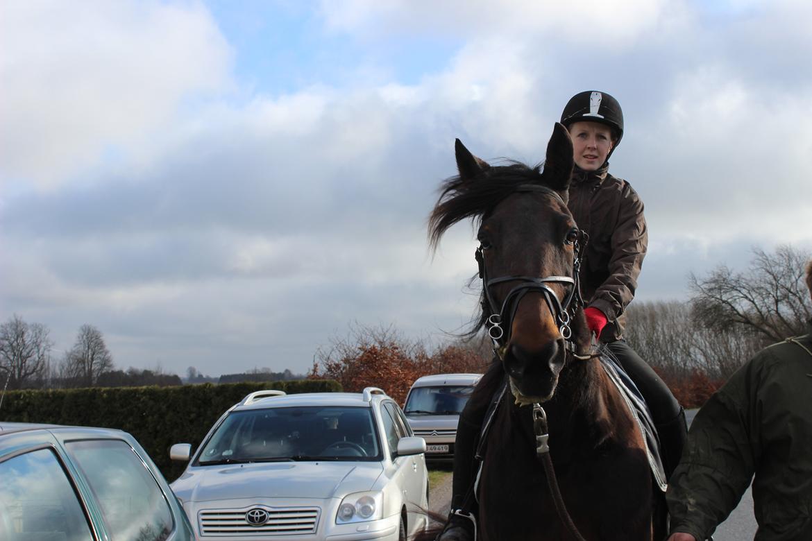 Traver arctic express - det er mig på arctic billede 5