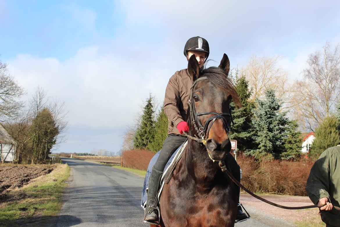 Traver arctic express billede 7