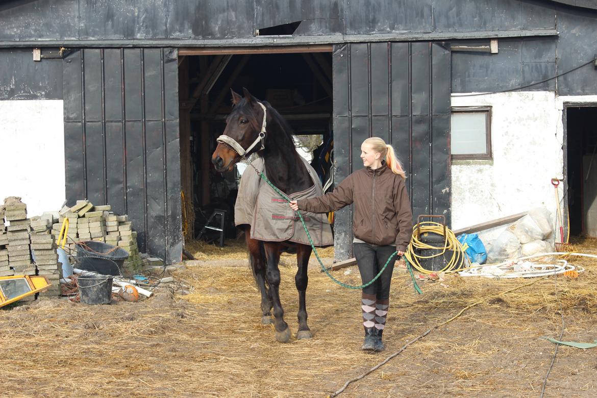 Traver arctic express billede 12