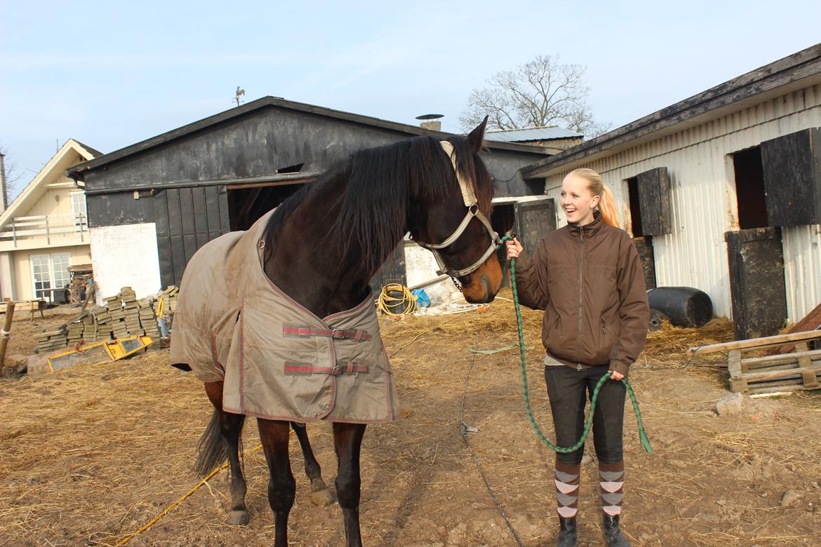 Traver arctic express billede 14