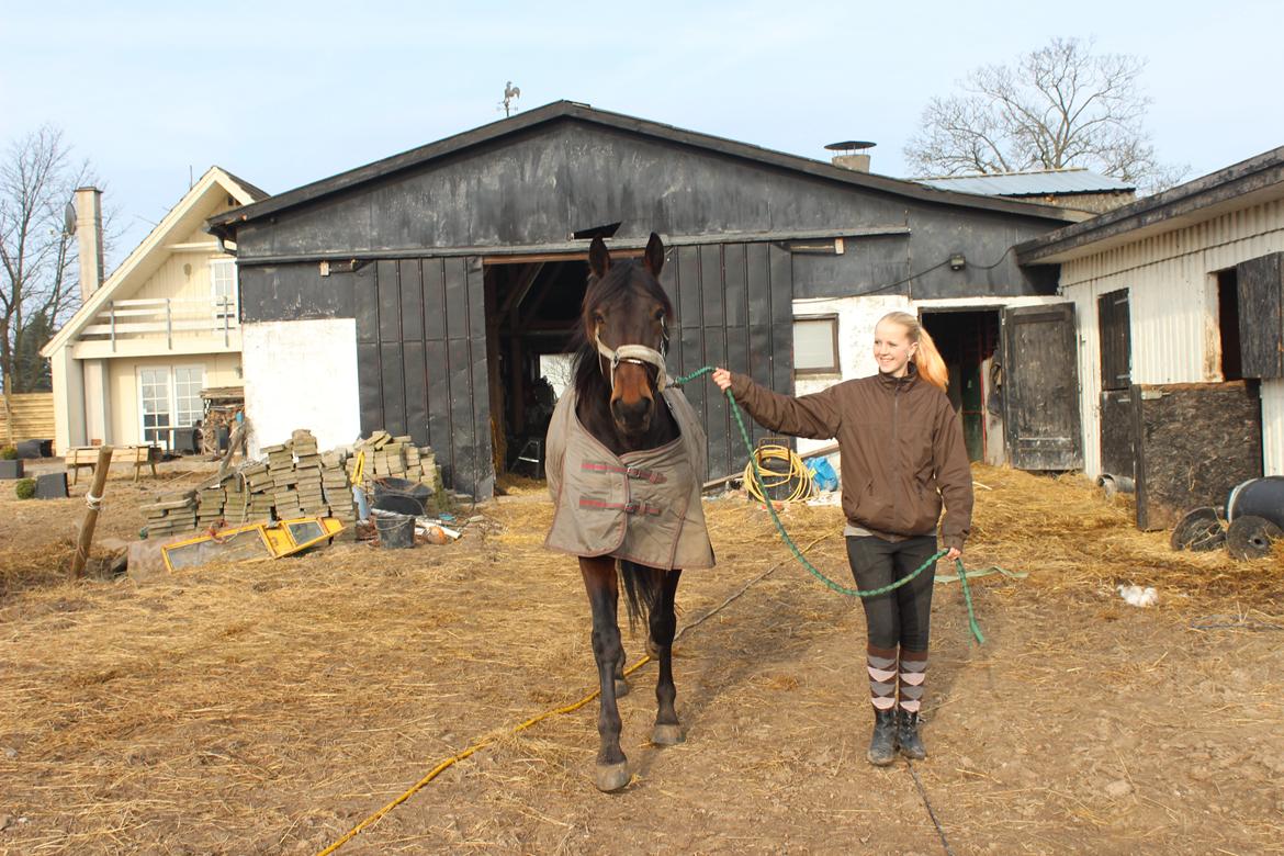 Traver arctic express billede 13