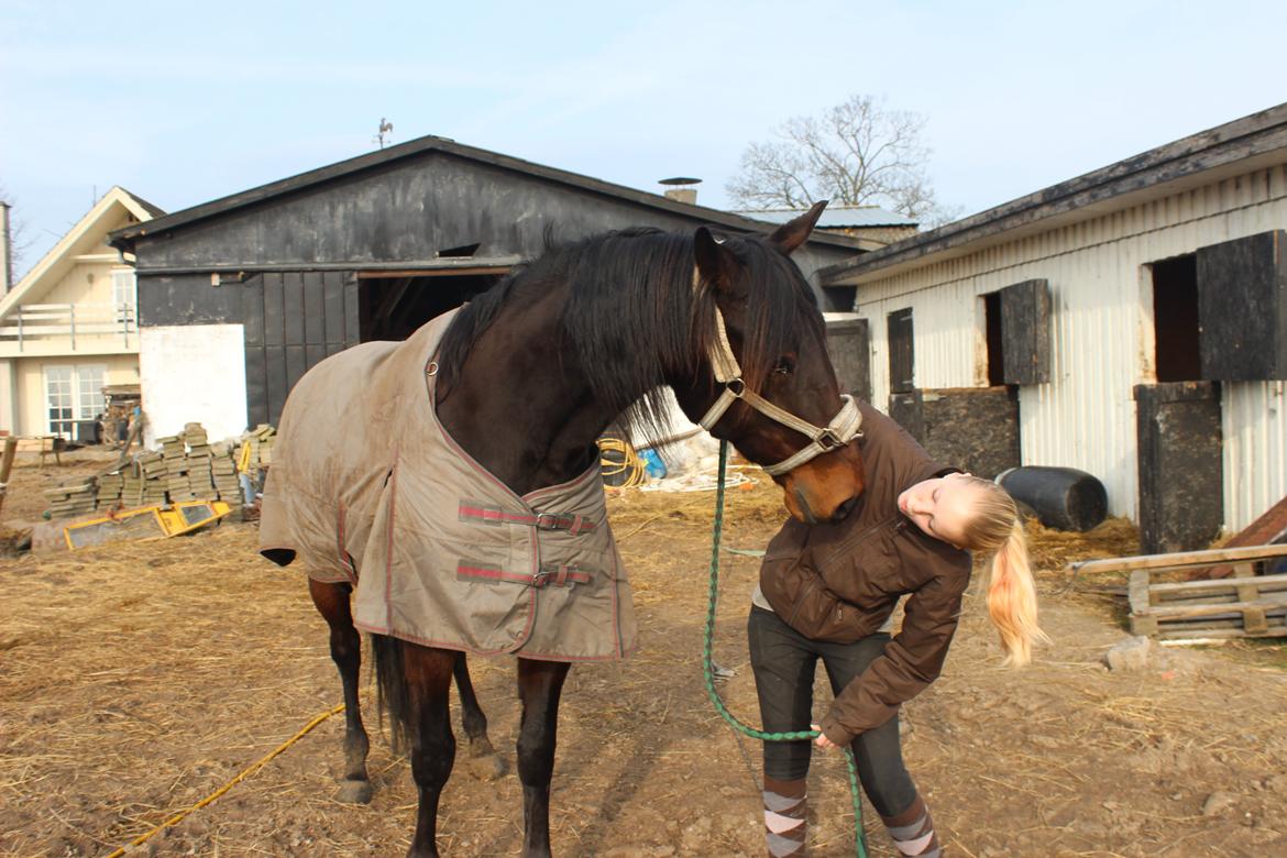 Traver arctic express billede 16